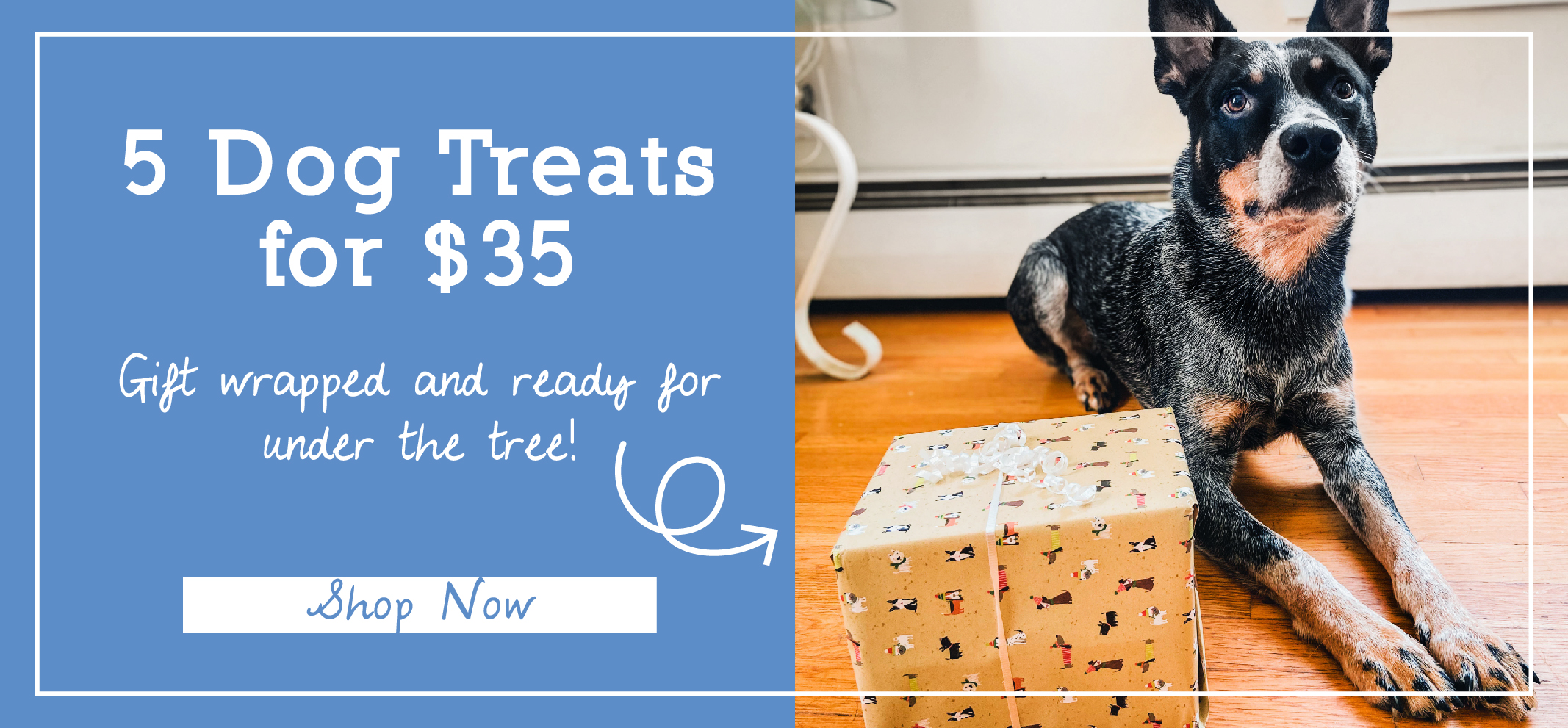 5 Dog Treats for $35-01-01