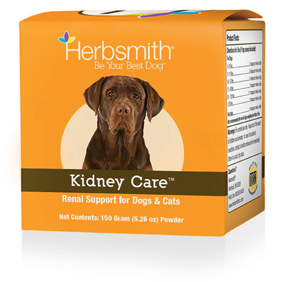 72-RGB-Mockup_150_Kidney Care-dog-Shadow 72-RGB-Mockup_150_Kidney Care-dog-Shadow