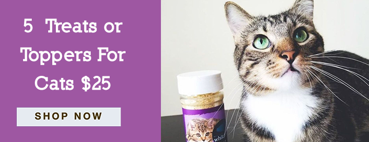 Shop For Cats