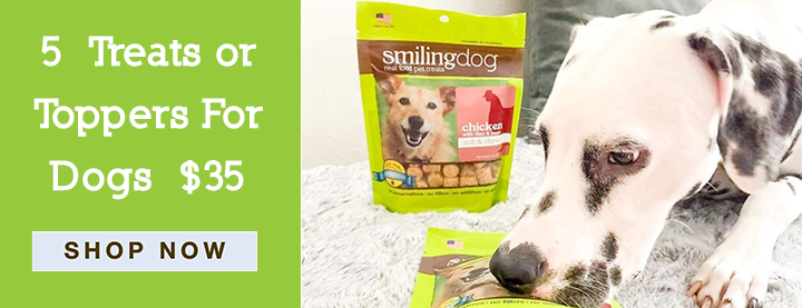 Shop For Dogs