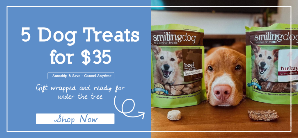 Home-SmilingTreatDogBF2023