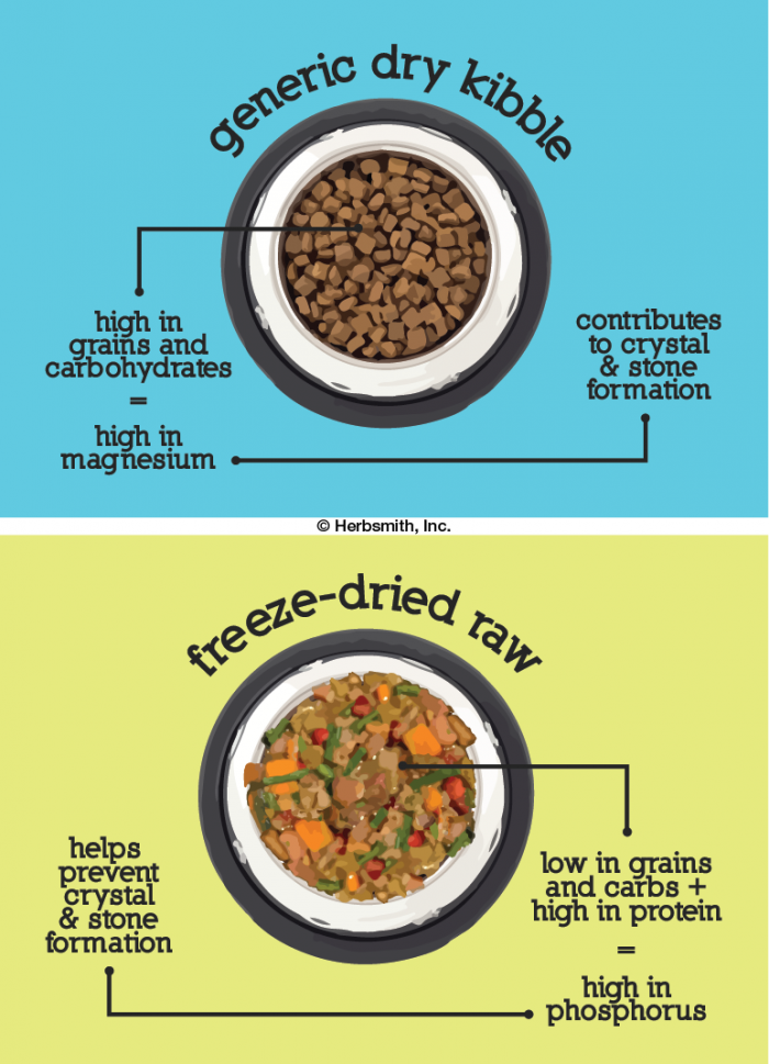 Dry kibble is high in grains/carb = high in magnesium which contributes to crystal & stone formation, while freeze-dried raw food is low in grains and carbs and high in protein = high in phosphorus which helps prevent crystal and stone formation