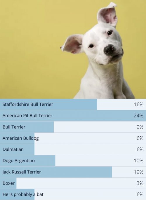 PollResultsWillieDNA PollResultsWillieDNA