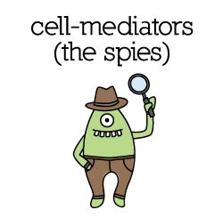 cell-mediators_color