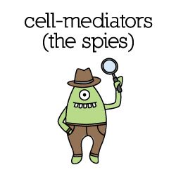cell-mediators_color cell-mediators_color