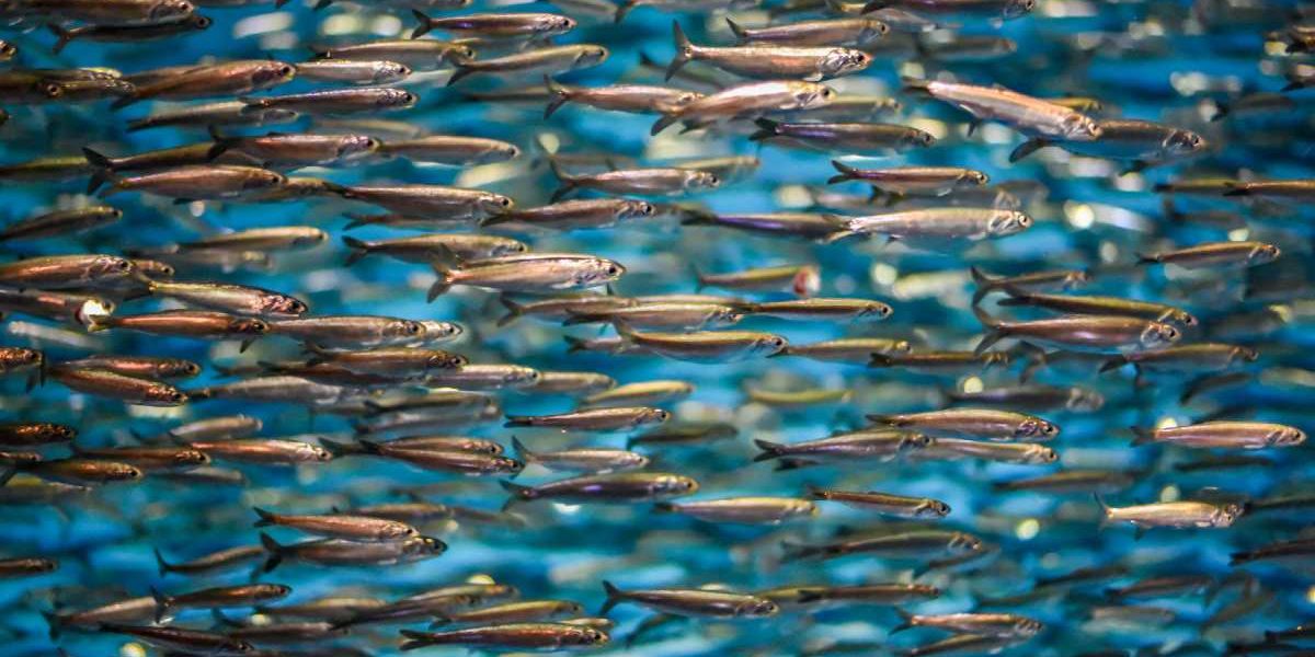 shutterstock_731847637-scaled (1) shutterstock_731847637-scaled (1)